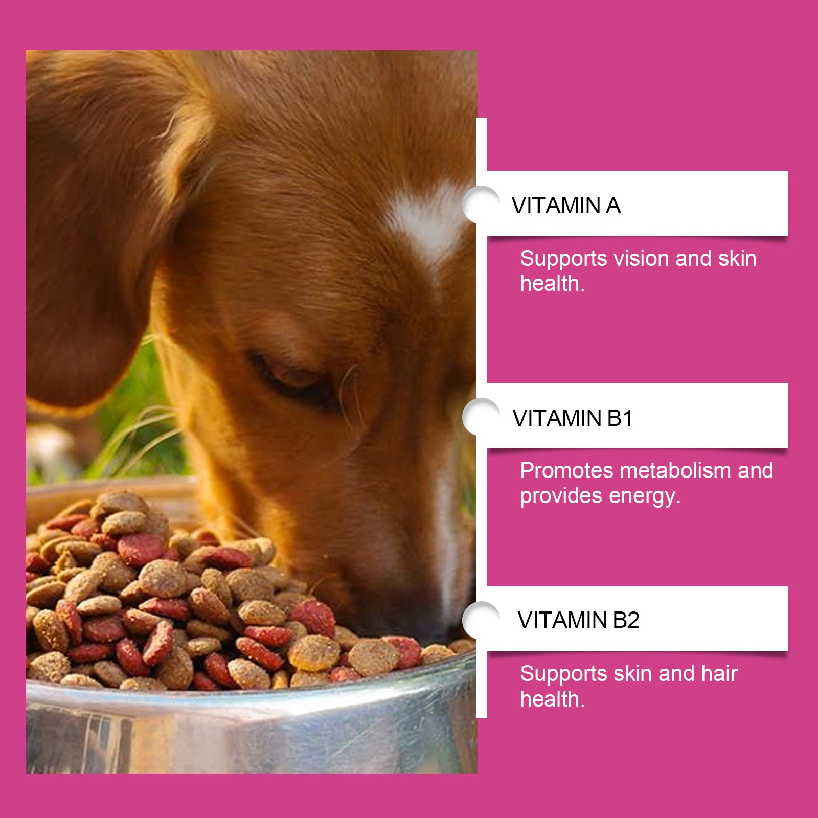 Yegbong Dog Probiotic Tablets To Improve Intestinal Health, Balance Digestion And Absorption Of Pet Nutritional Supplements