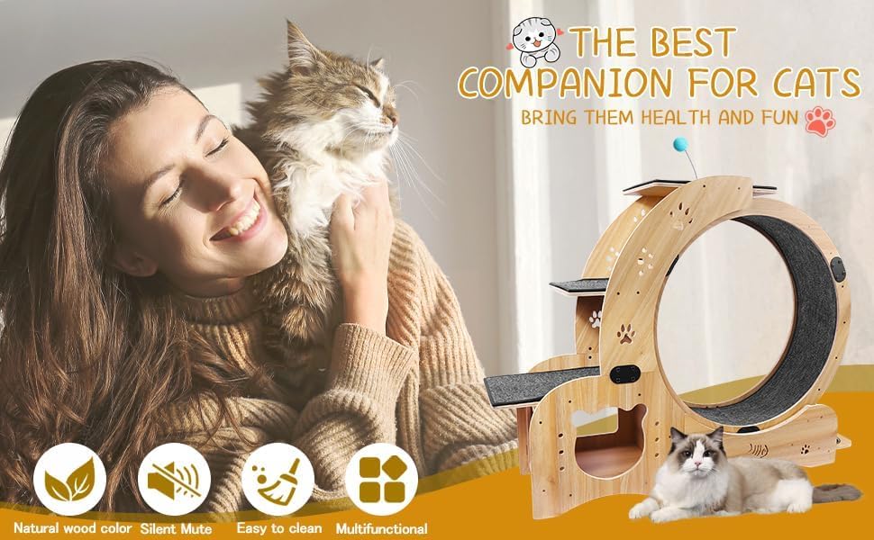 Cat Wheel 6-in-1 Upgraded Exercise Wheel for Indoor Cats: Large Treadmill with Silent Running Wheel, Perfect Cat Furniture & Toy for Endless Fun & Fitness