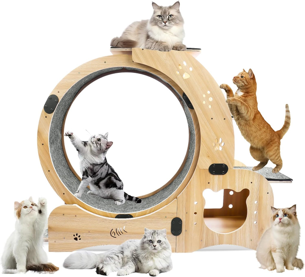 Cat Wheel 6-in-1 Upgraded Exercise Wheel for Indoor Cats: Large Treadmill with Silent Running Wheel, Perfect Cat Furniture & Toy for Endless Fun & Fitness
