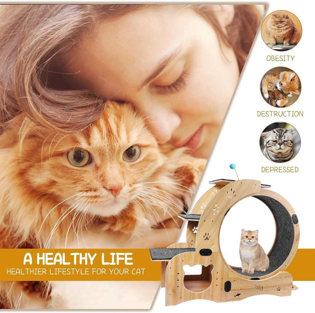 Cat Wheel 6-in-1 Upgraded Exercise Wheel for Indoor Cats: Large Treadmill with Silent Running Wheel, Perfect Cat Furniture & Toy for Endless Fun & Fitness