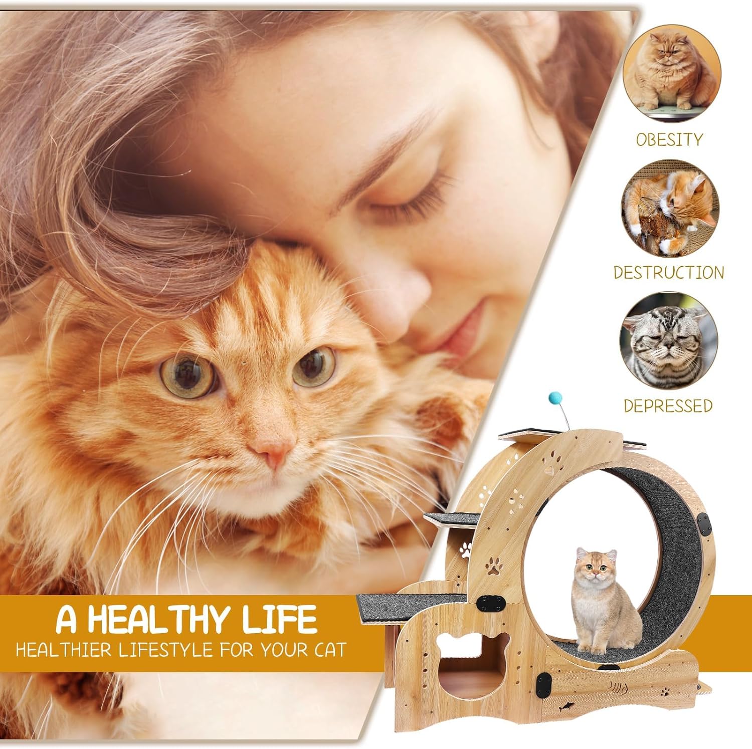 Cat Wheel 6-in-1 Upgraded Exercise Wheel for Indoor Cats: Large Treadmill with Silent Running Wheel, Perfect Cat Furniture & Toy for Endless Fun & Fitness