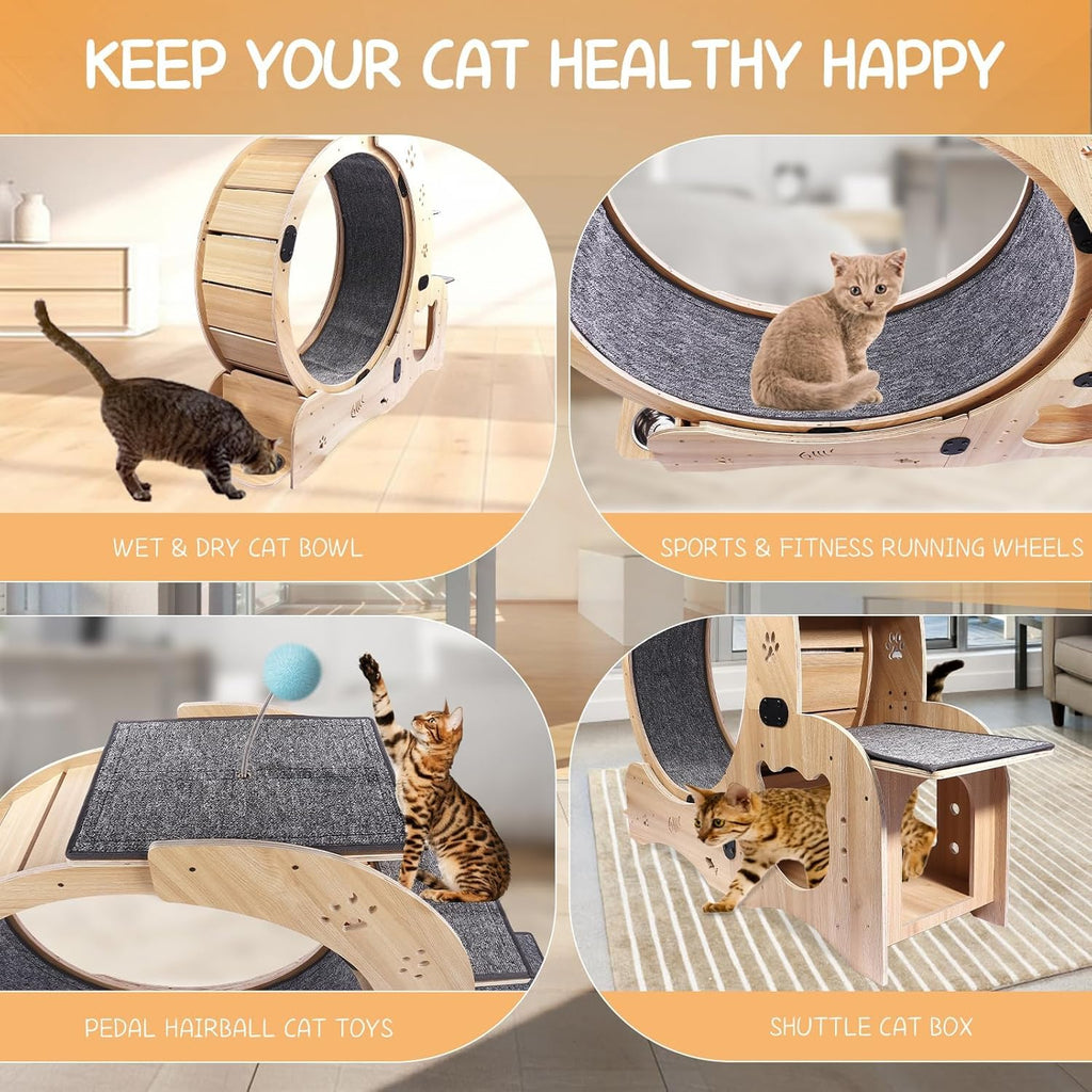 Cat Wheel 6-in-1 Upgraded Exercise Wheel for Indoor Cats: Large Treadmill with Silent Running Wheel, Perfect Cat Furniture & Toy for Endless Fun & Fitness