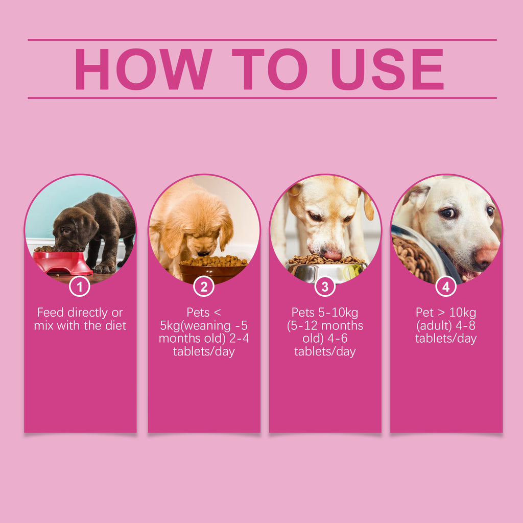 Yegbong Dog Probiotic Tablets To Improve Intestinal Health, Balance Digestion And Absorption Of Pet Nutritional Supplements